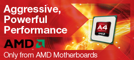 Aggressive, powerful performance